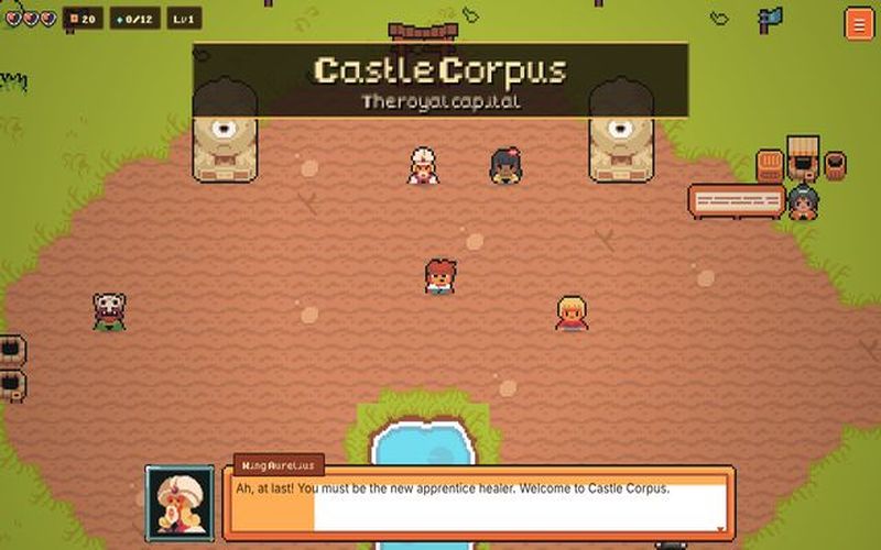 Kingdom of Corpus, an anatomy adventure game