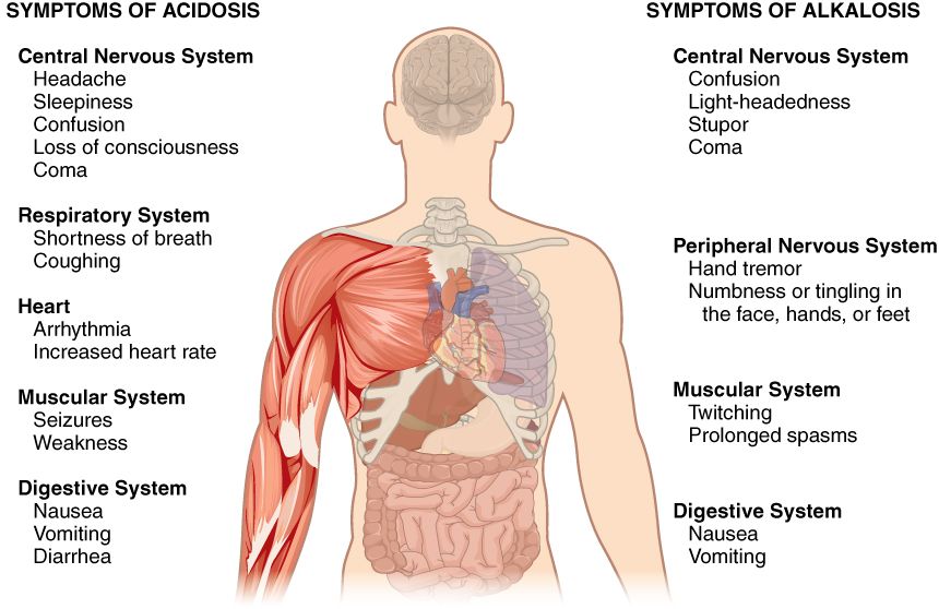 The four acid-base disorders