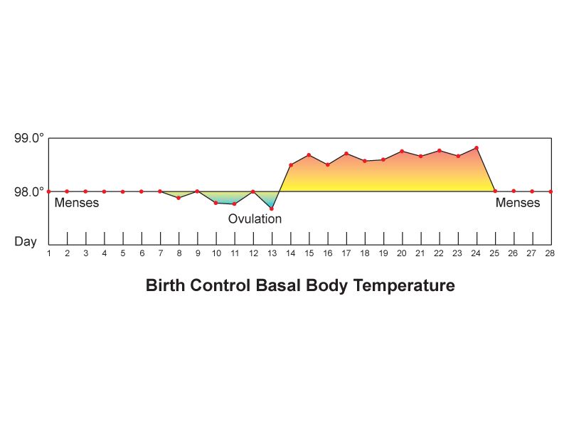 Clinician measuring a patient temperature with an electronic thermometer, with tympanic and temporal artery devices visible nearby