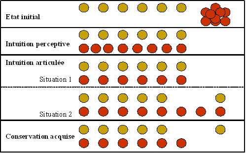 Diagram of Piaget's conservation-of-number task with two rows of tokens