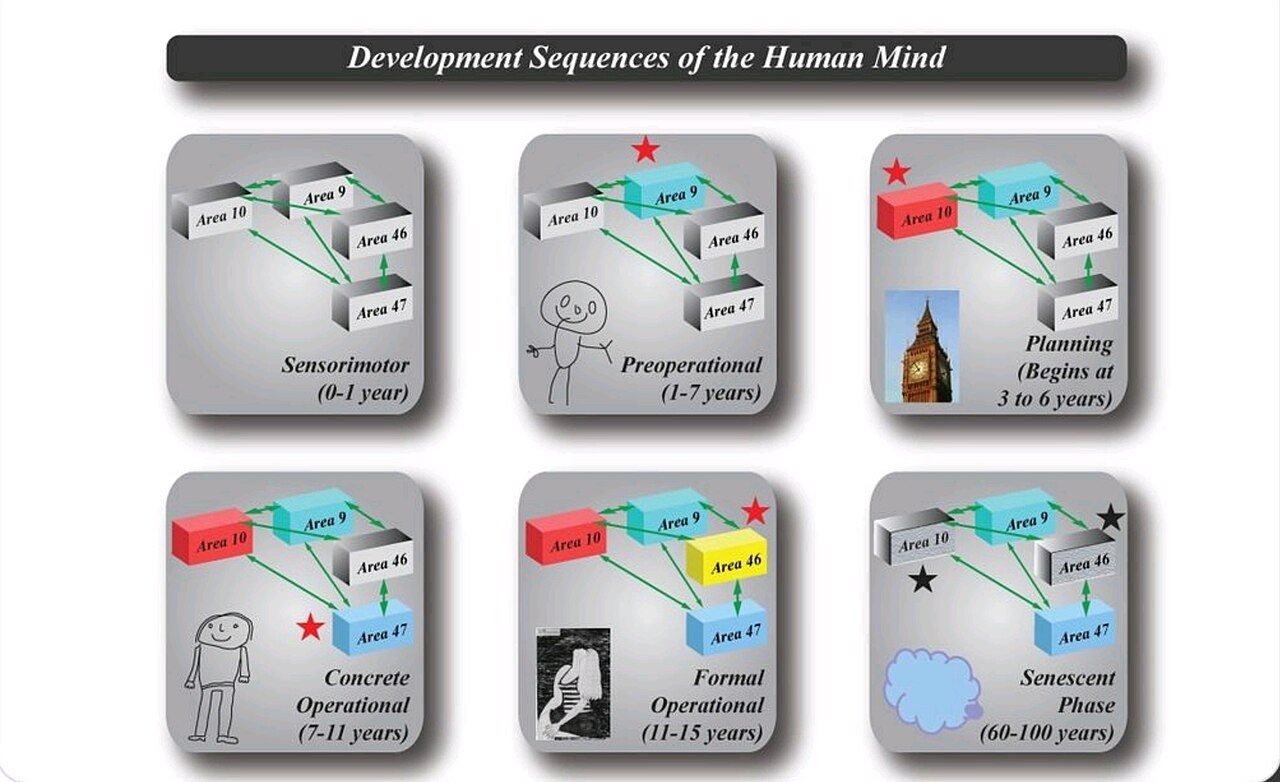Diagram of the developing sequences of the human mind