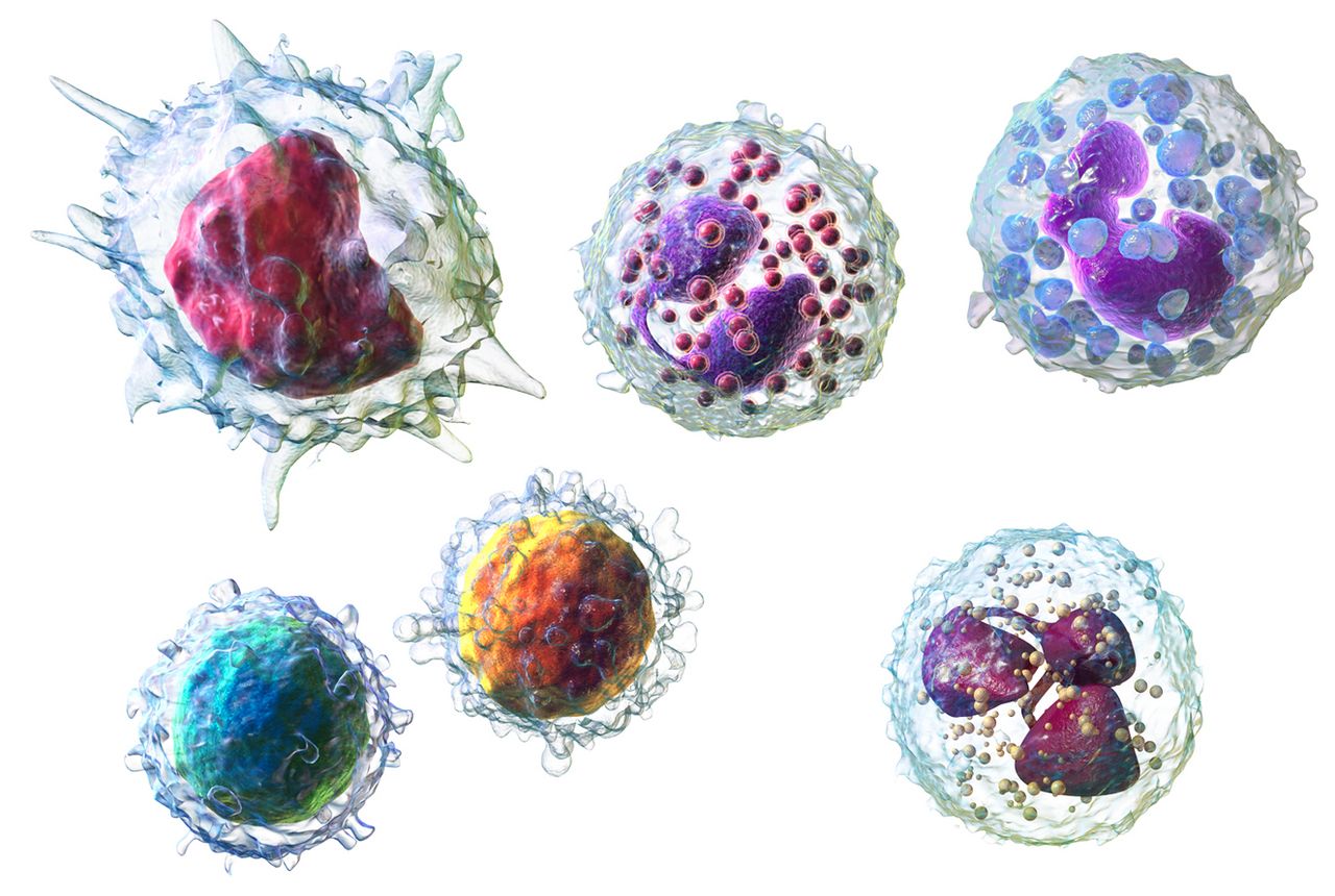 Urinalysis reagent dipstick held beside a specimen cup, with the colored reagent pads for protein, glucose, ketones, blood and leukocytes visible