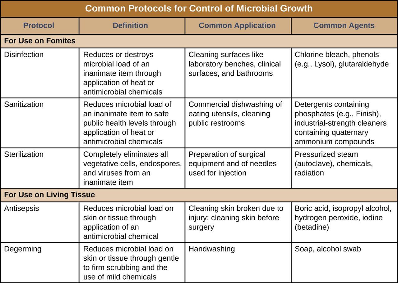 Table comparing microbial control terms from sterilization to sanitization