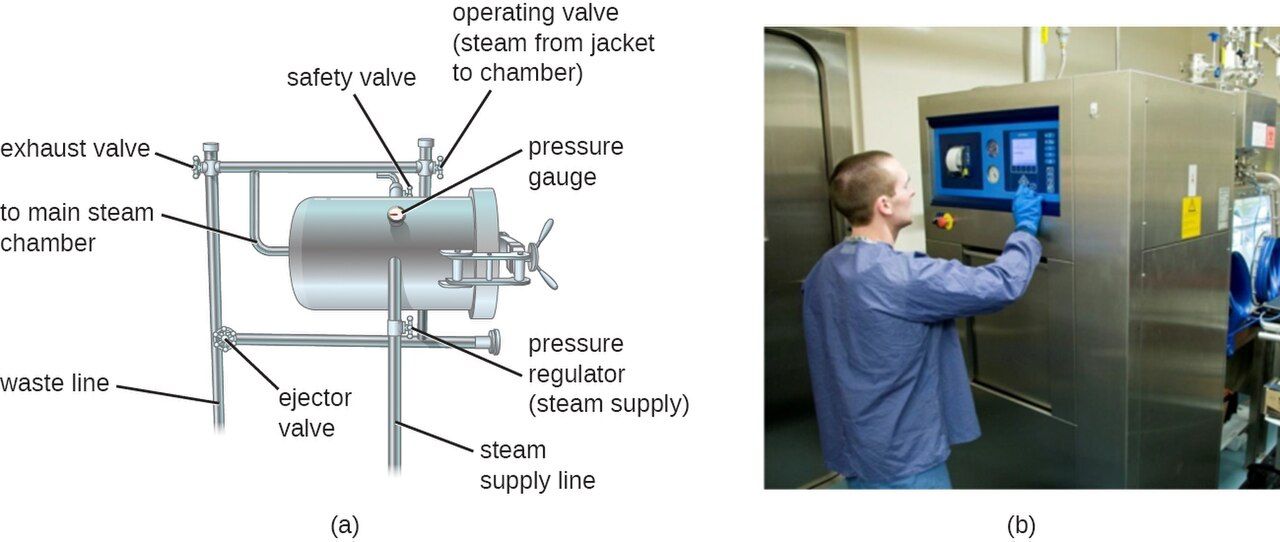 An autoclave used to sterilize instruments with pressurized steam