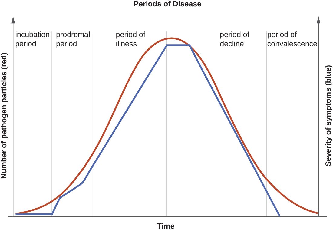 The five stages of an acute infection plotted over time against symptom severity
