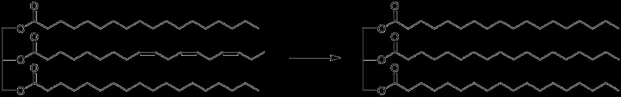 Diagram of fatty acid hydrogenation showing an unsaturated fatty acid converted to saturated and trans forms