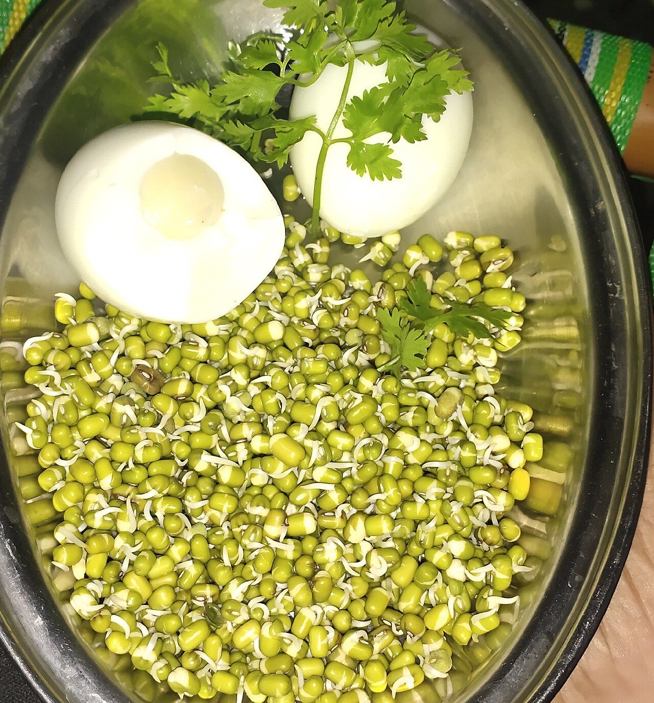 Assortment of protein-rich foods including legumes, eggs, fish, nuts, and dairy