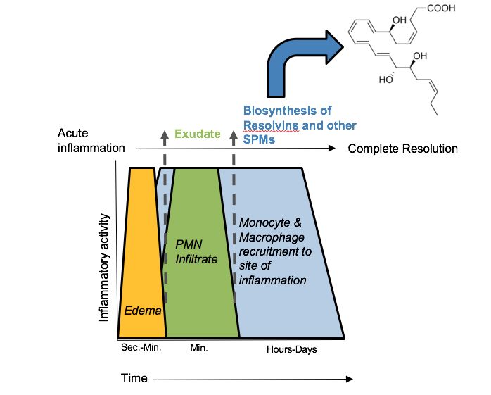 Inflammation & healing reference figure