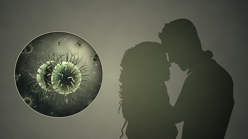 STIs reference figure
