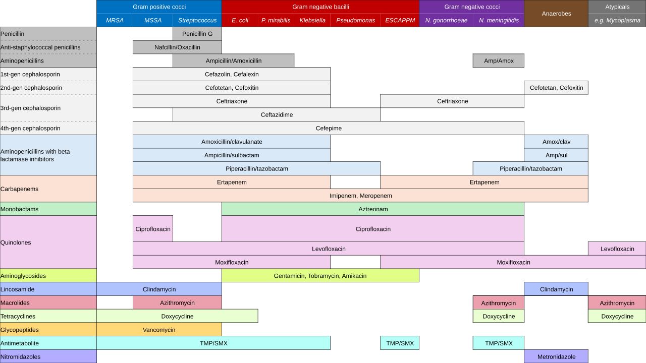 Chart of antibiotic drug classes grouped by structure and mechanism, a reference figure