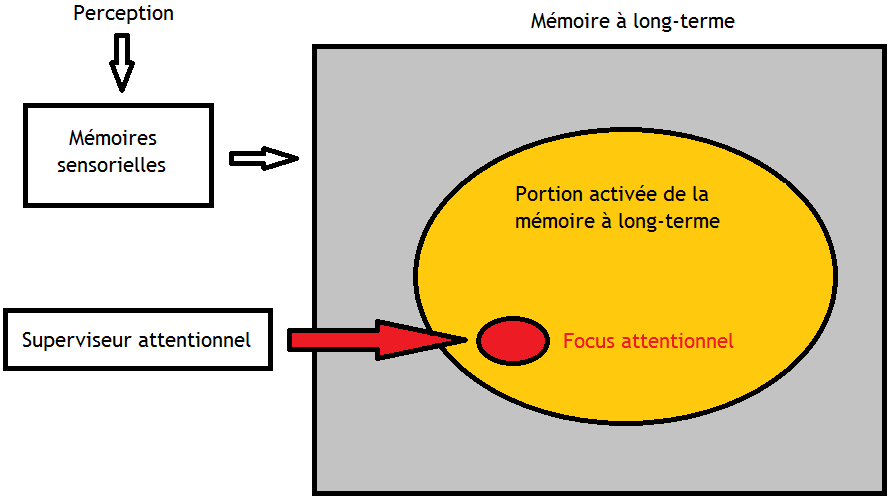 A diagram of the multi-store model of memory showing sensory, short-term, and long-term memory