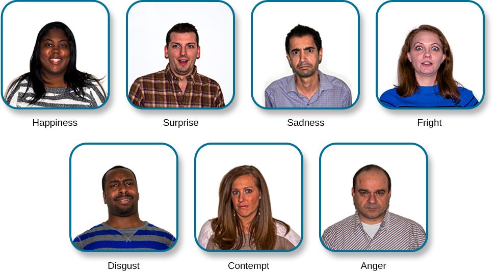 A set of faces showing the basic universal emotional expressions