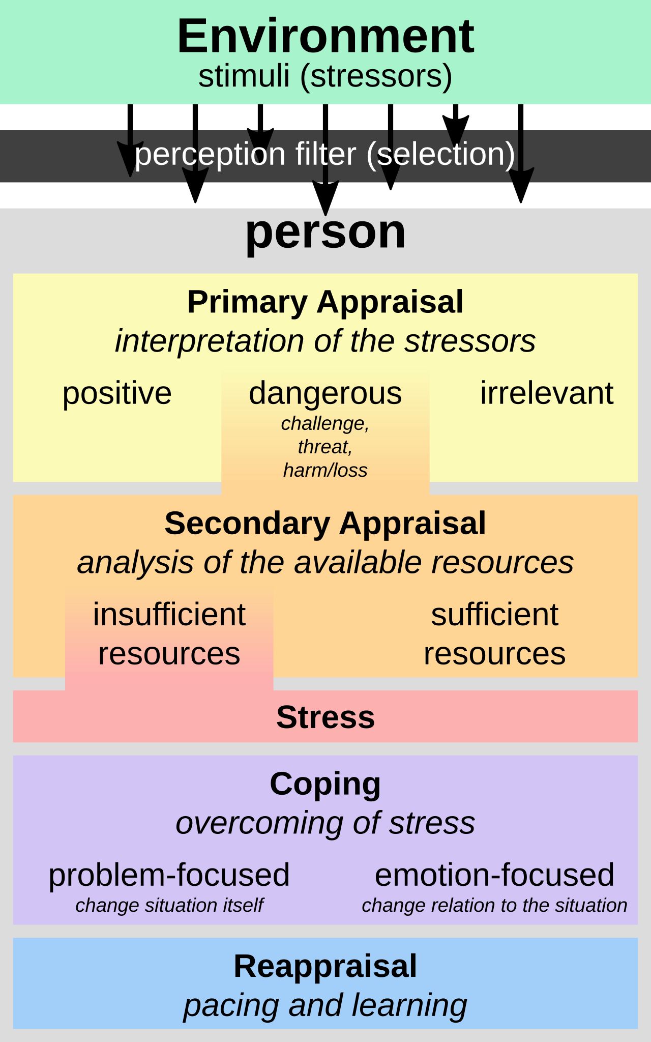 Lazarus and Folkman's transactional model of stress and coping