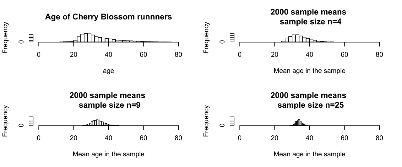 Histograms of sample means at several sample sizes, each narrower than the last